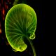 8 claves para reducir el riesgo de contraer una enfermedad renal